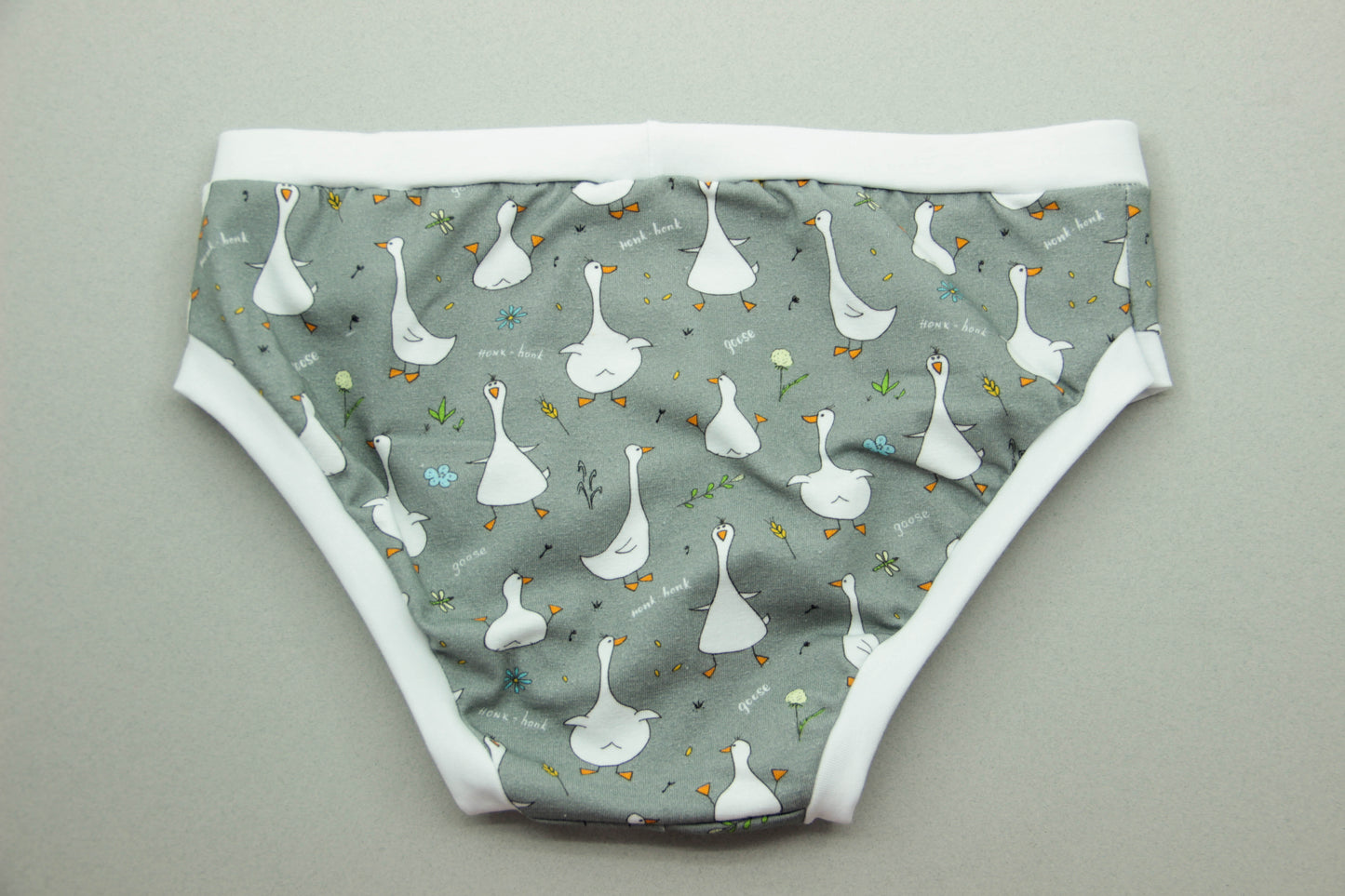 ABDL Briefs Geese