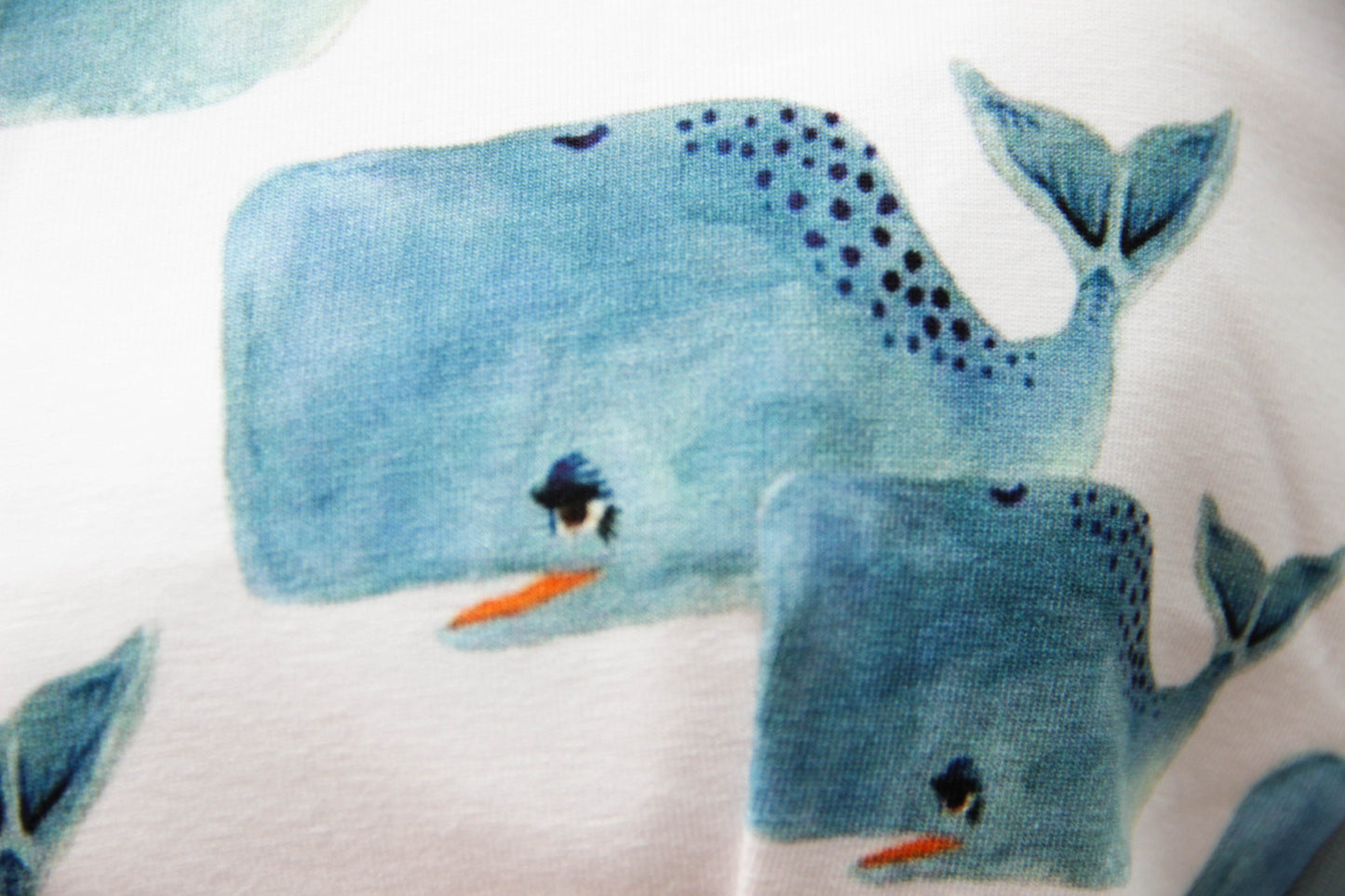 ABDL training pants for adult Whales