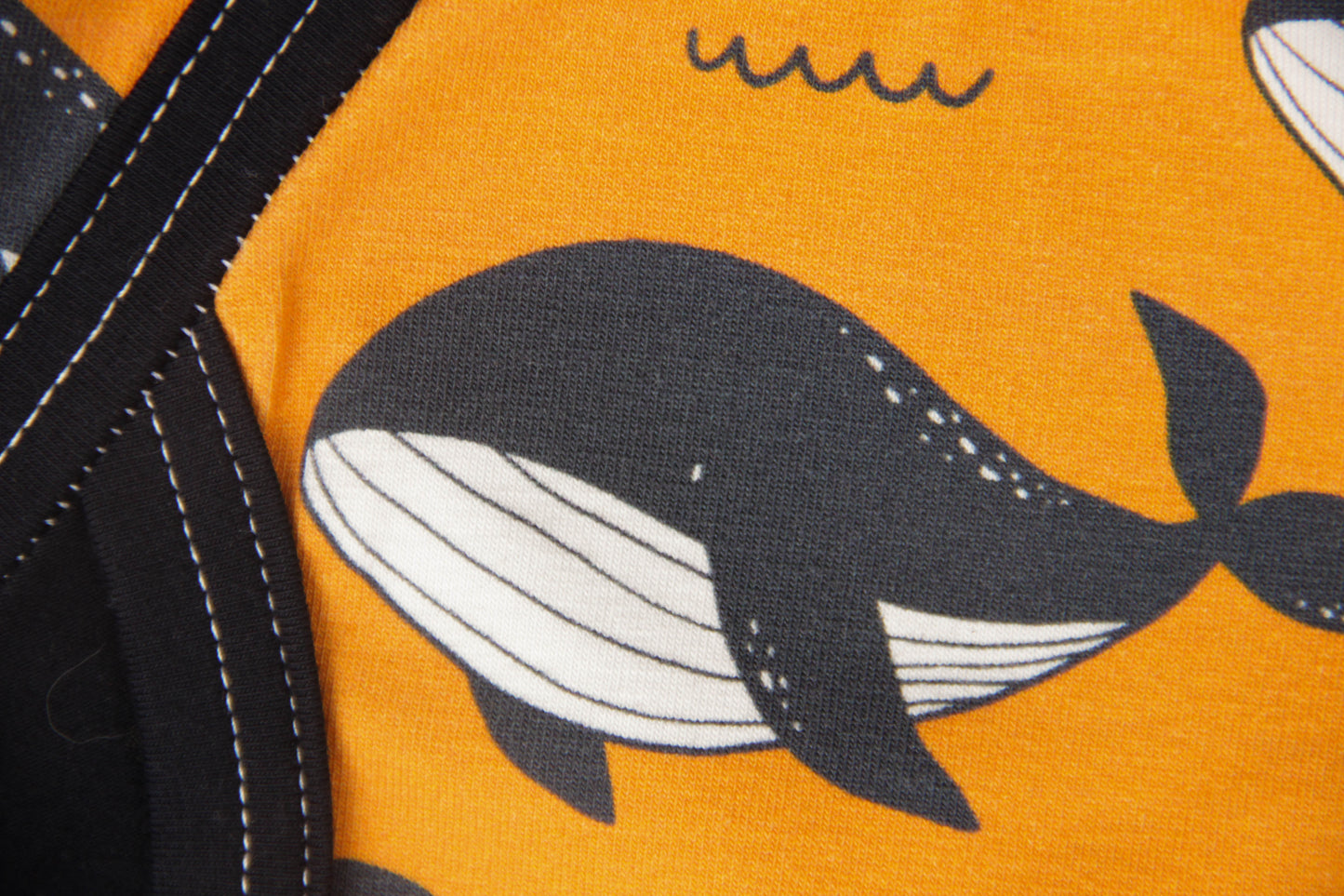 ABDL briefs Whales