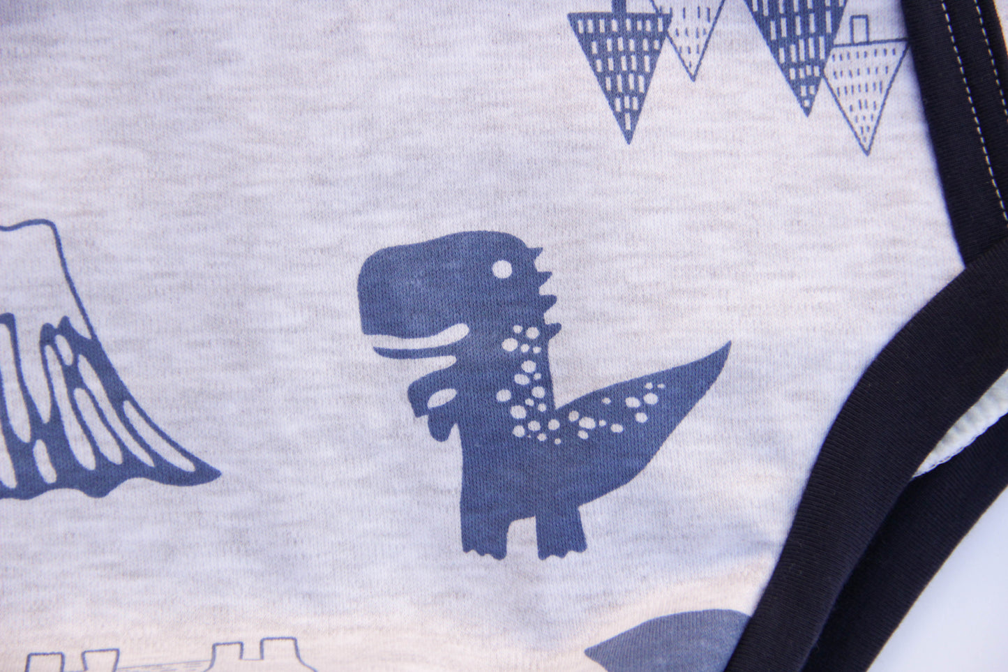 ABDL training pants for adult Dino on a gray background