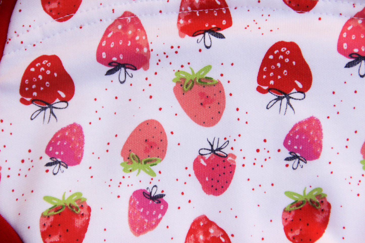 ABDL training pants for adult Strawberry