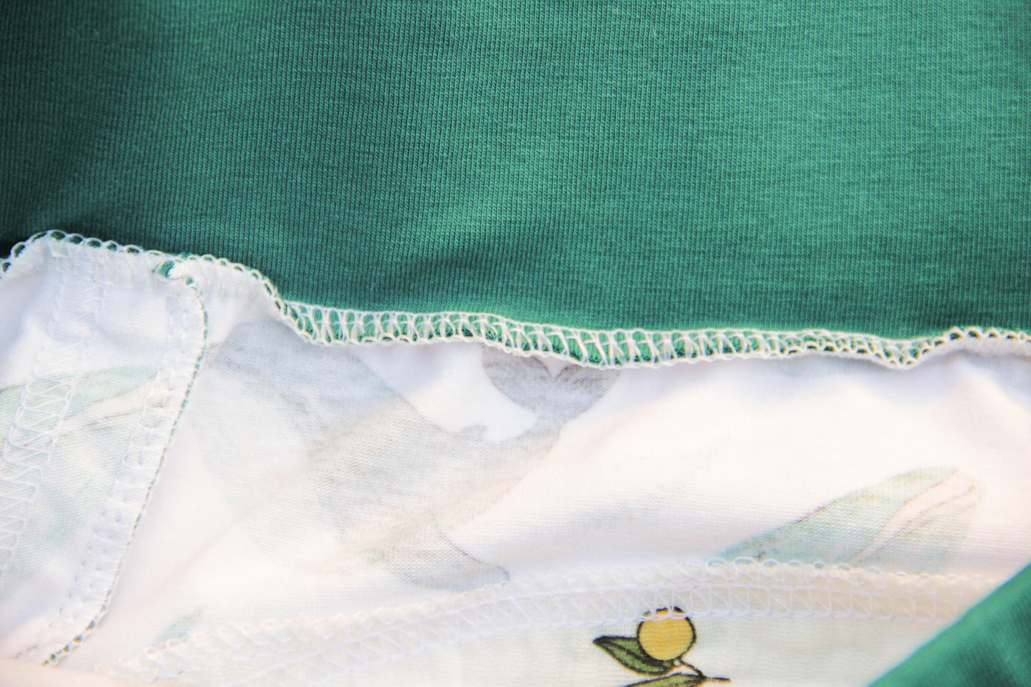 ABDL training pants for adult Fish