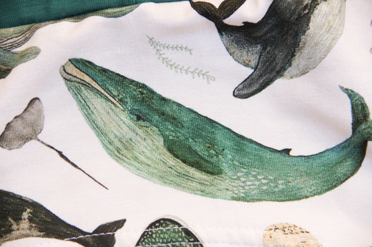 ABDL training pants for adult Fish