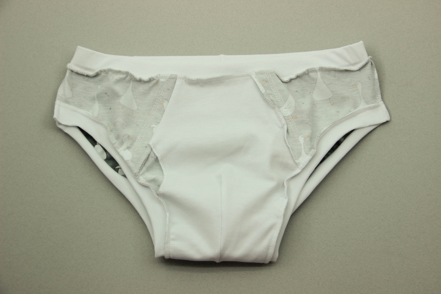 ABDL Briefs Geese