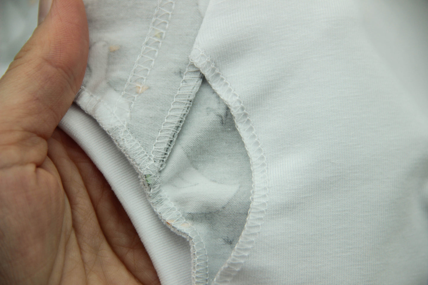 ABDL Briefs Geese