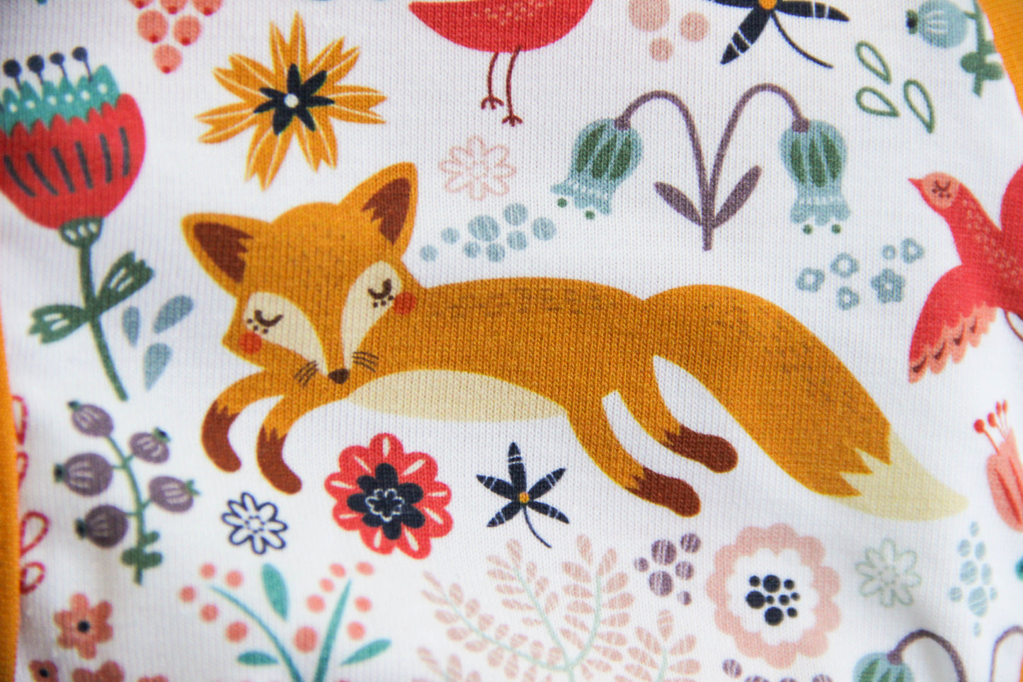 ABDL briefs Foxes