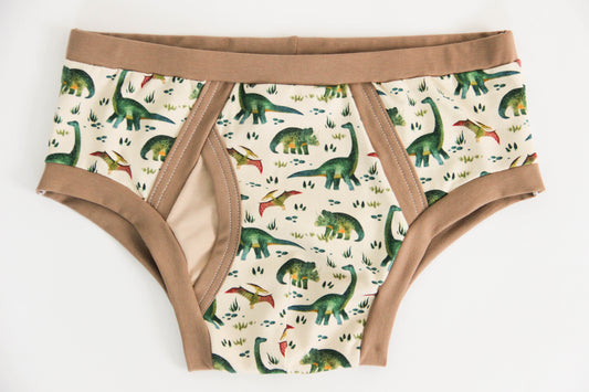 ABDL briefs Dino