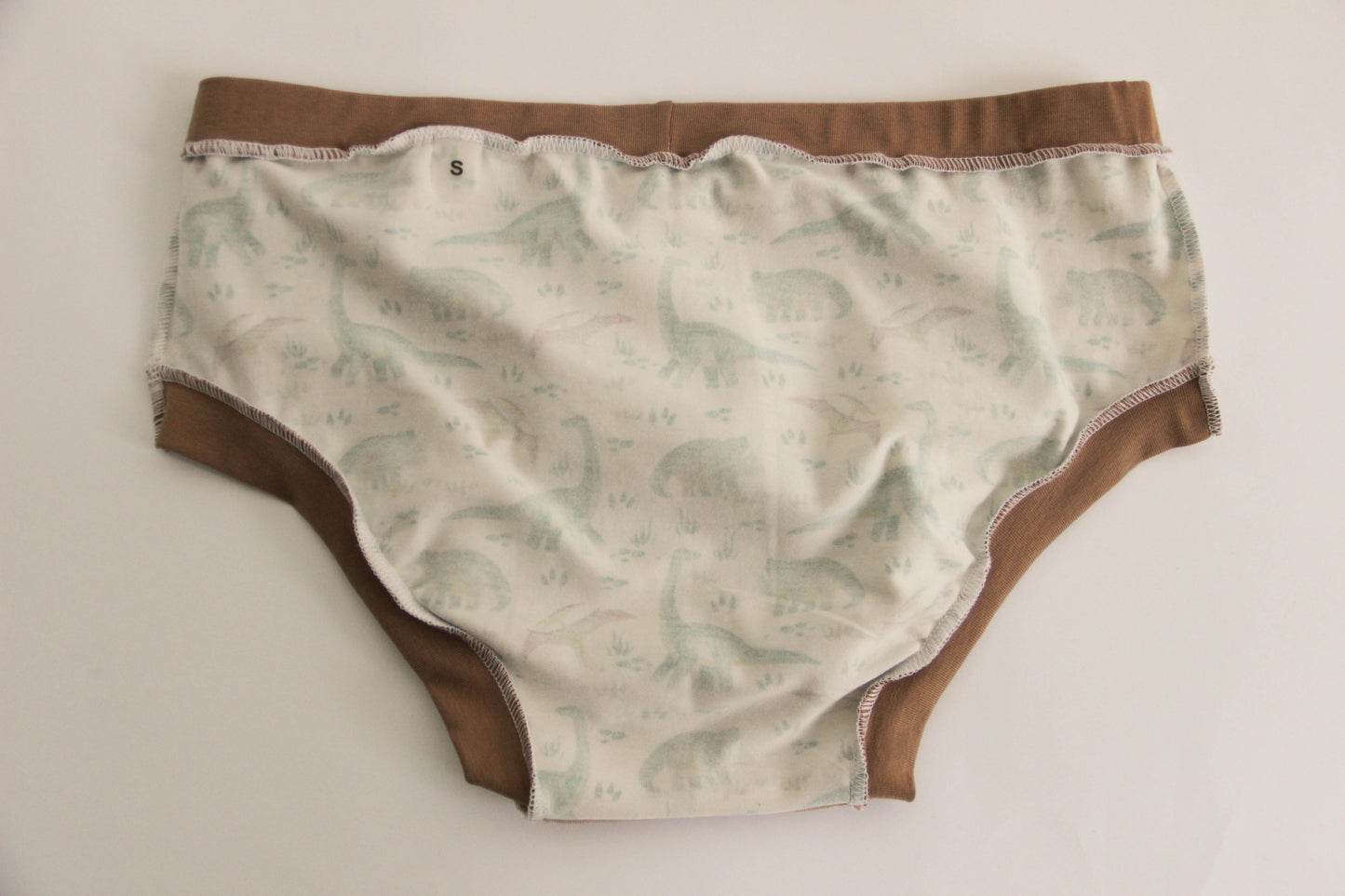 ABDL briefs Dino