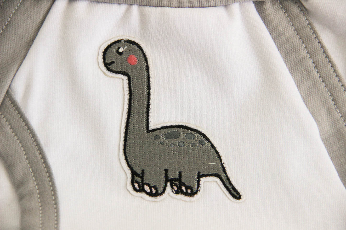 ABDL briefs Dino 4