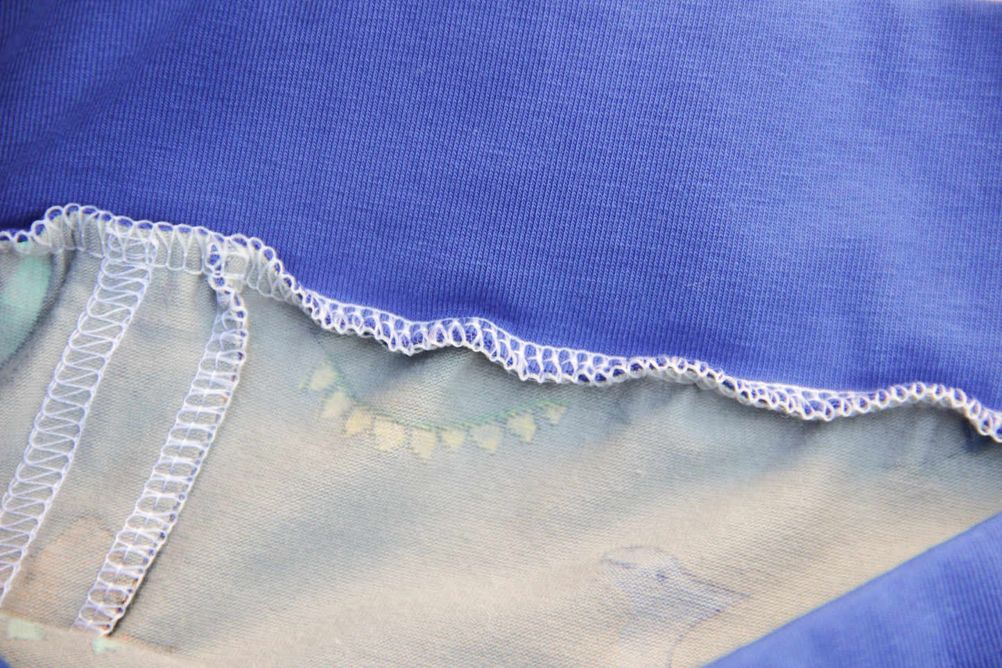 ABDL training pants for adult Dino