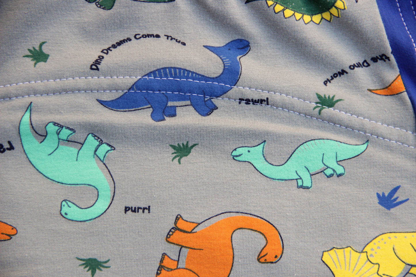 ABDL training pants for adult Dino